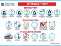 Родительское собрание онлайн на тему: "Профилактика гриппа и ОРВИ"